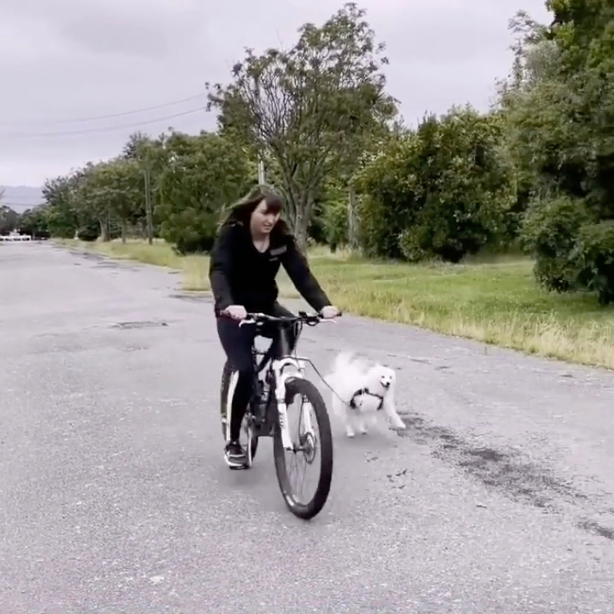 Hinterradhalterung für Walky Dog Plus - Fahrradhalterung Hinterradhalterung für Walky Dog Plus - Fahrradhalterung