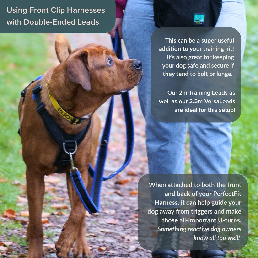 Perfect Fit Harness – Kiwi Canine