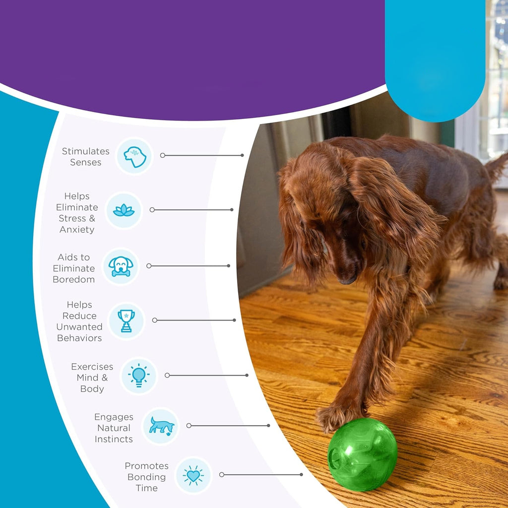 Planet Dog Raspberry PlanetDog Mazee – Kiwi Canine