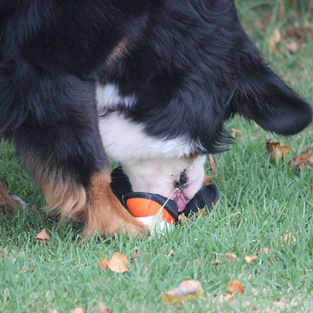 Puppingtons Pods Kiwi Canine Puppingtons Pods Kiwi Canine