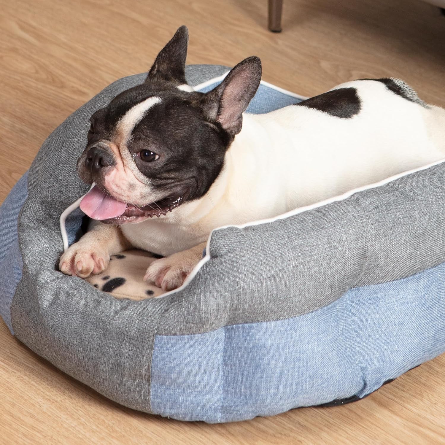 Snuggle Safe Heat Pad – Kiwi Canine - Main Image