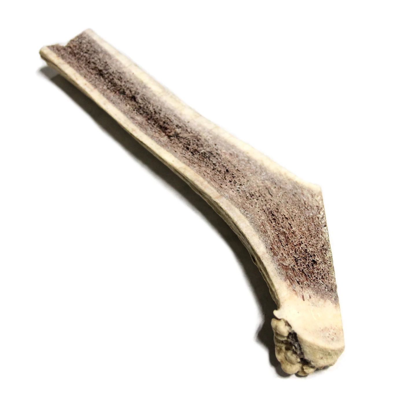 Deer Antler - Main Image