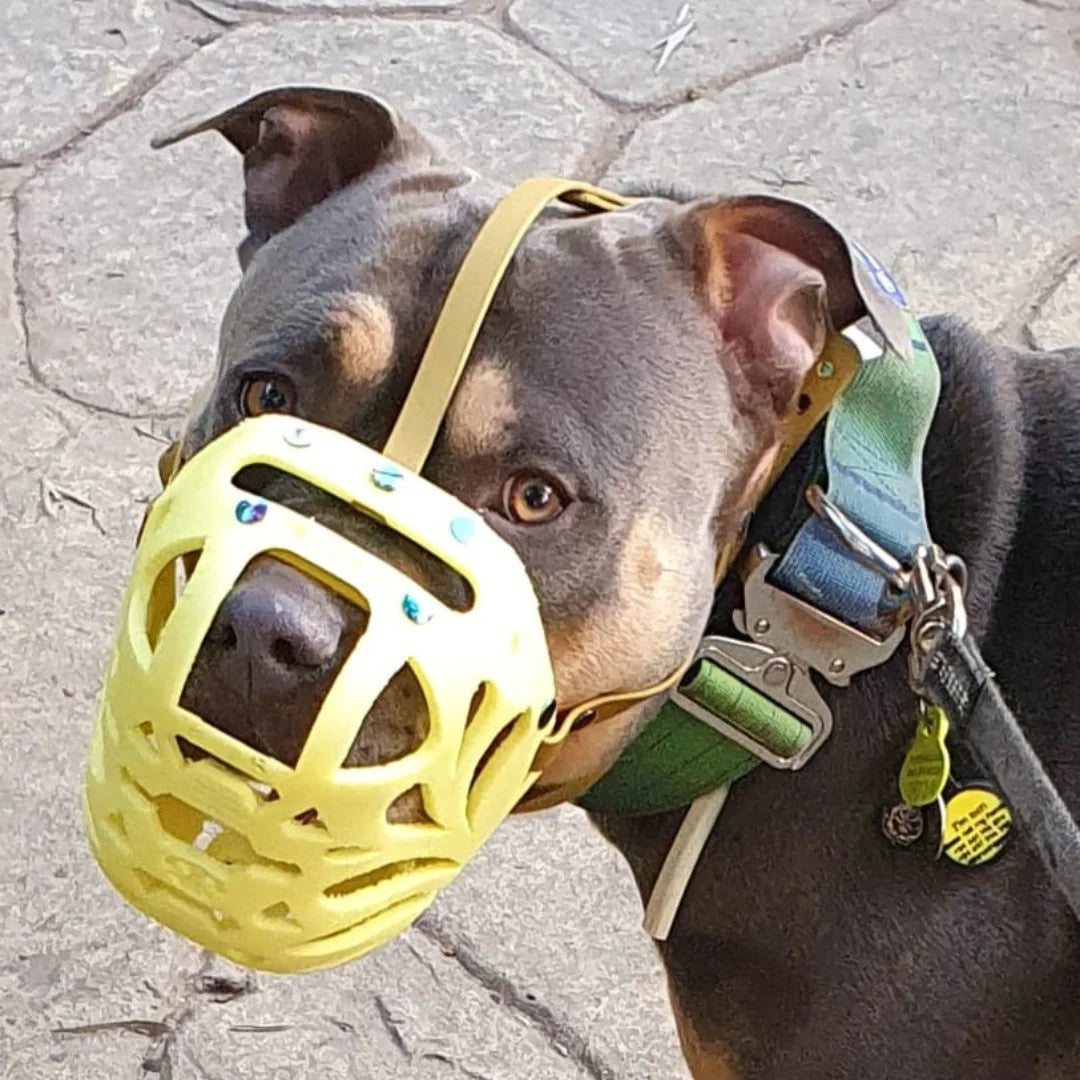 Bite-Proof Dog Muzzle NZ – Kiwi Canine