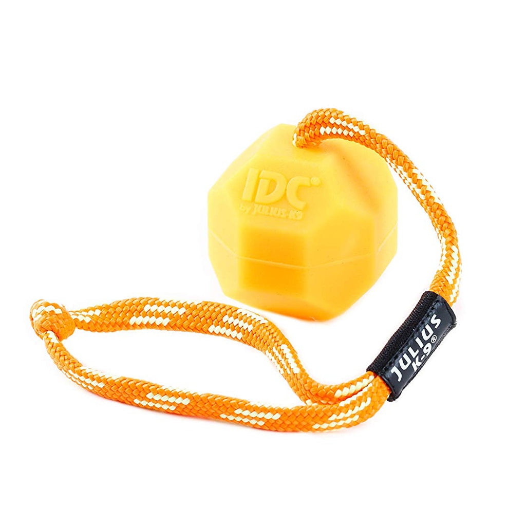 https://kiwicanine.co.nz/cdn/shop/products/JK9BallonString2_1024x1024.jpg?v=1648949137