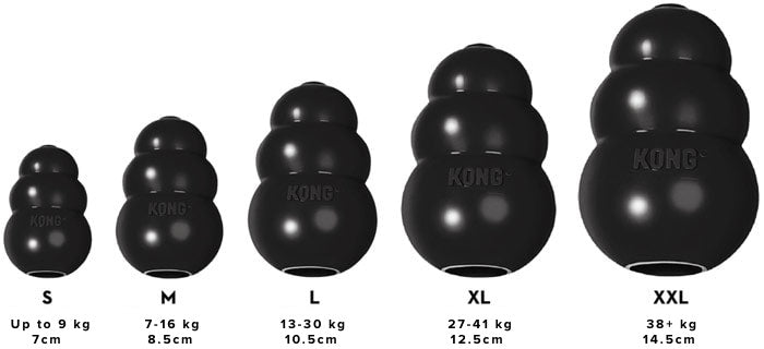Kong Extreme – Kiwi Canine