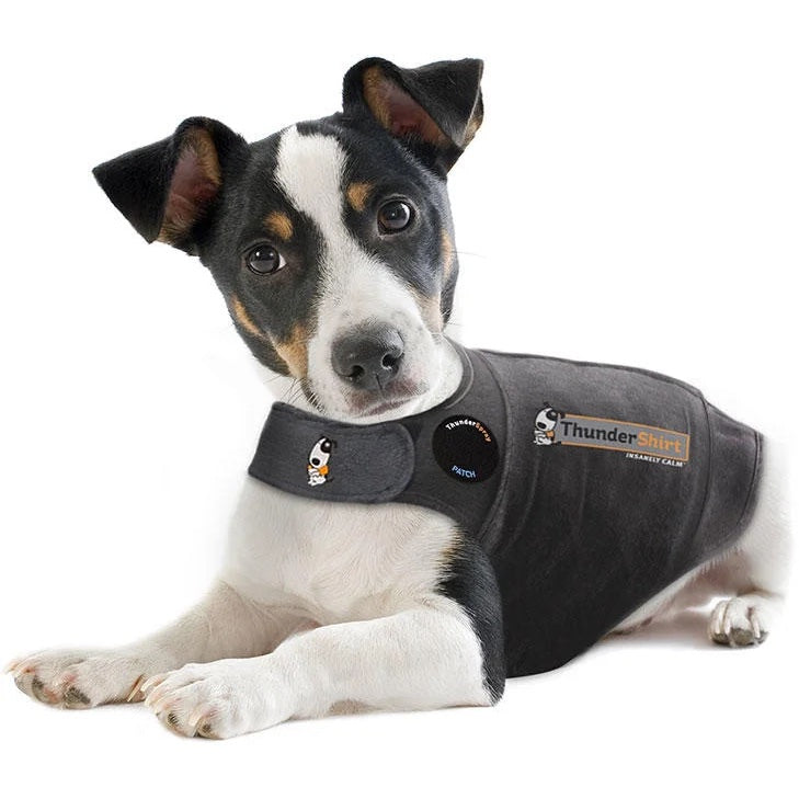 ThunderShirt – Kiwi Canine - Main Image